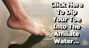 Dip Your Toe Into The Affiliate Water