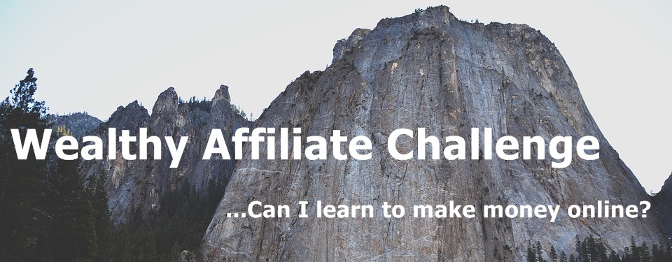 Wealthy Affiliate Challenge Can I learn to make money online following the WA training