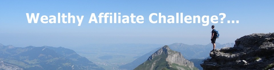 Wealthyaffiliatechallenge.com