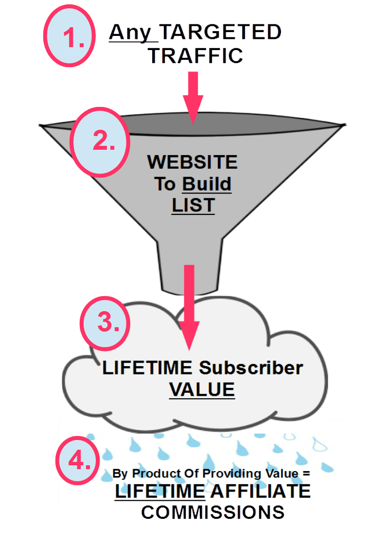 Lifetime Subscriber Value Funnel I've describer my business as a Lifetime Subscriber Value Funnel, and here is what it looks like...