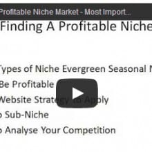 Finding a profitable niche video