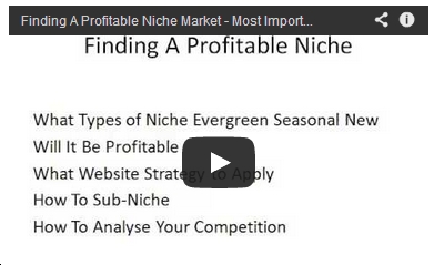 Finding a profitable niche video