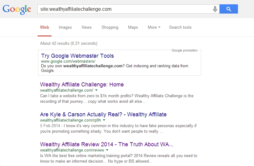 Wealthy Affiliate Challenge Results 1st month Google index