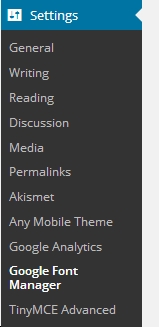 Wordpress Dashboard Settings menu