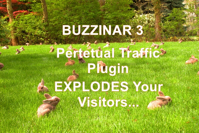 Buzzinar 2 Wordpress Plugin Review