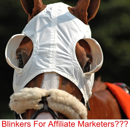 Affiliate Marketers need blinkers to keep their focus, a good daily action schedule is the nearest thing to affiliate blinkers