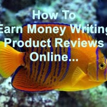 discover 3 ways to earn money online through writing product reviews