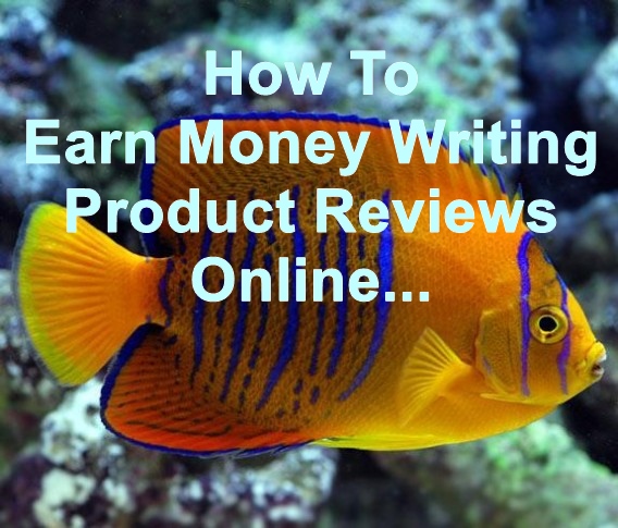 discover 3 ways to earn money online through writing product reviews