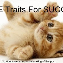 Three traits you must learn for online success