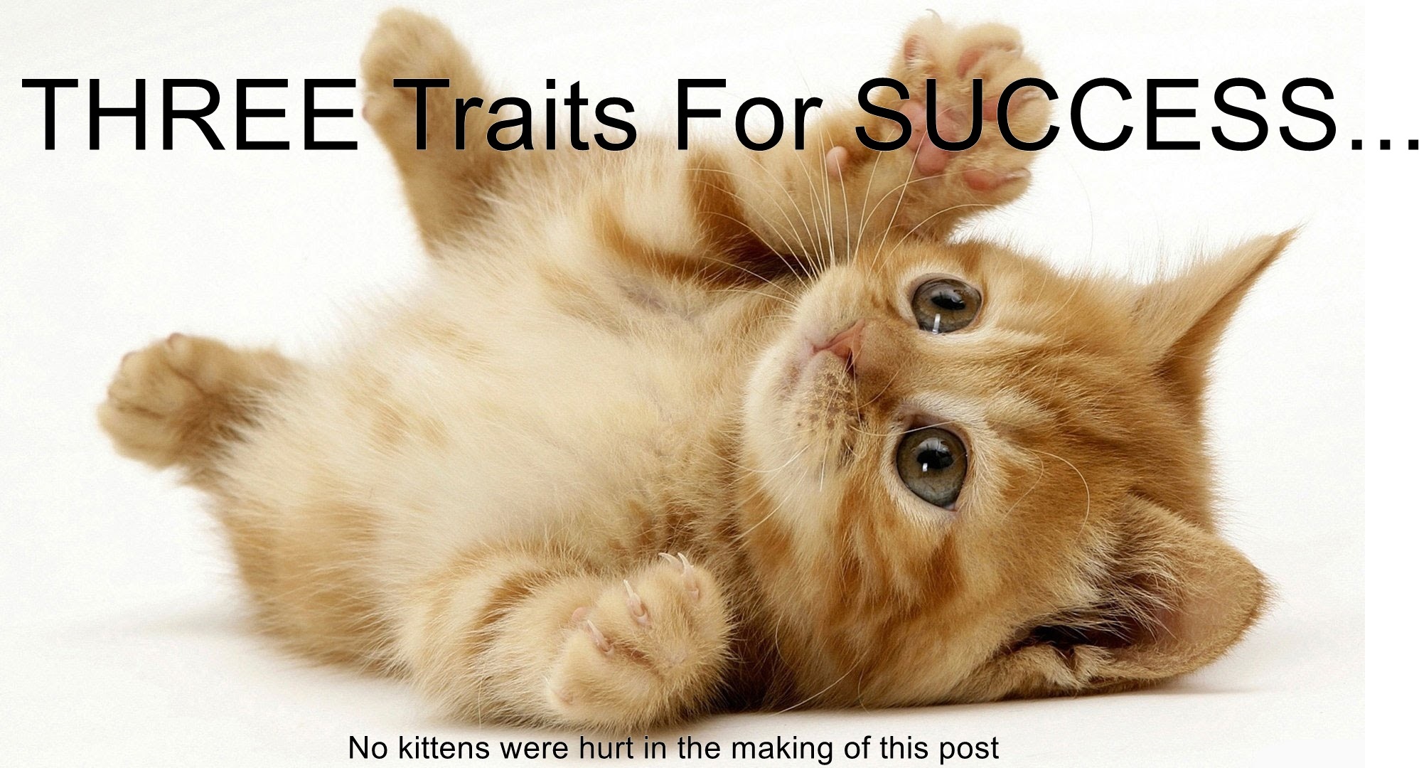 Three traits you must learn for online success