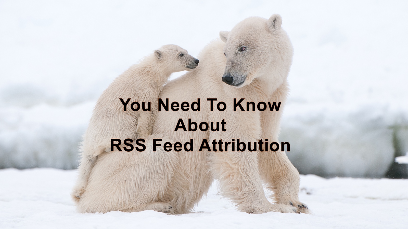 what is rss feed link