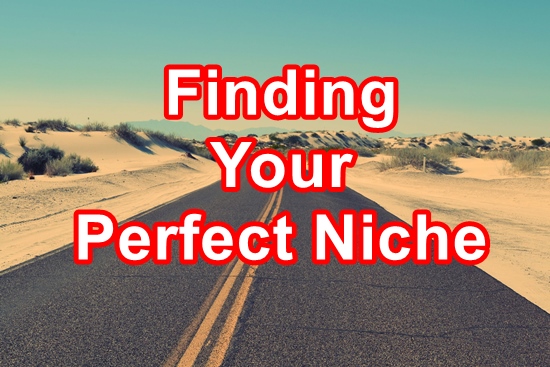 Training on how to find a profitable niche