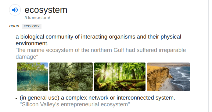Image and text definition of the word ecosystem
