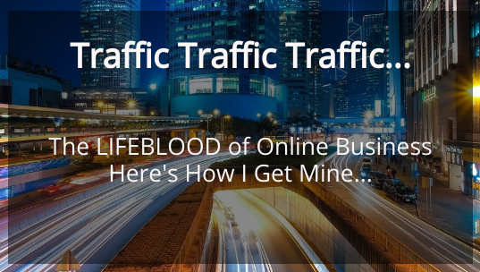 Traffic : getting people to see your online business